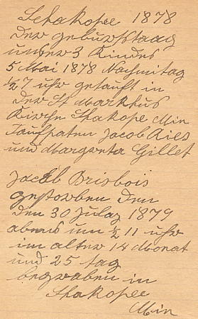 p05-as.jpg (34276 bytes)