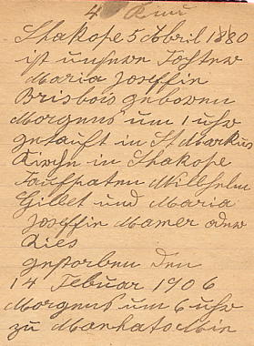 p06-as.jpg (30534 bytes)